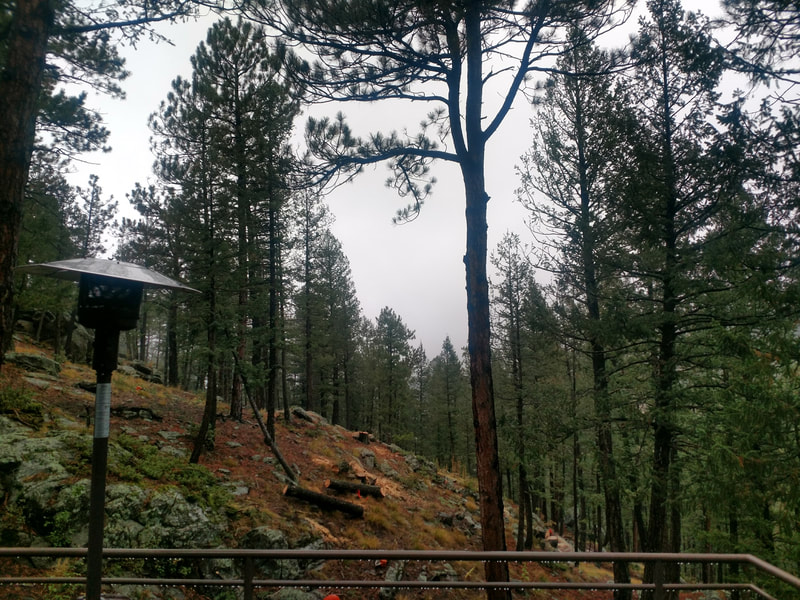 Another view of a steep slope at a wildfire mitigation site