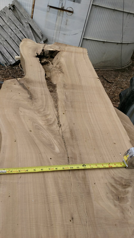 Top view of a hardwood log sawn in half.