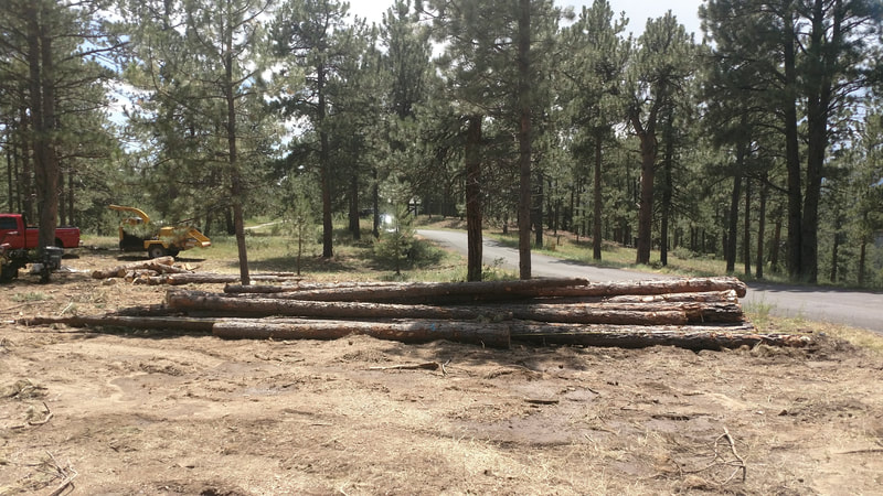 Part of a log deck from fire mitigation in Rampart Range to be used as rough sawn lumber