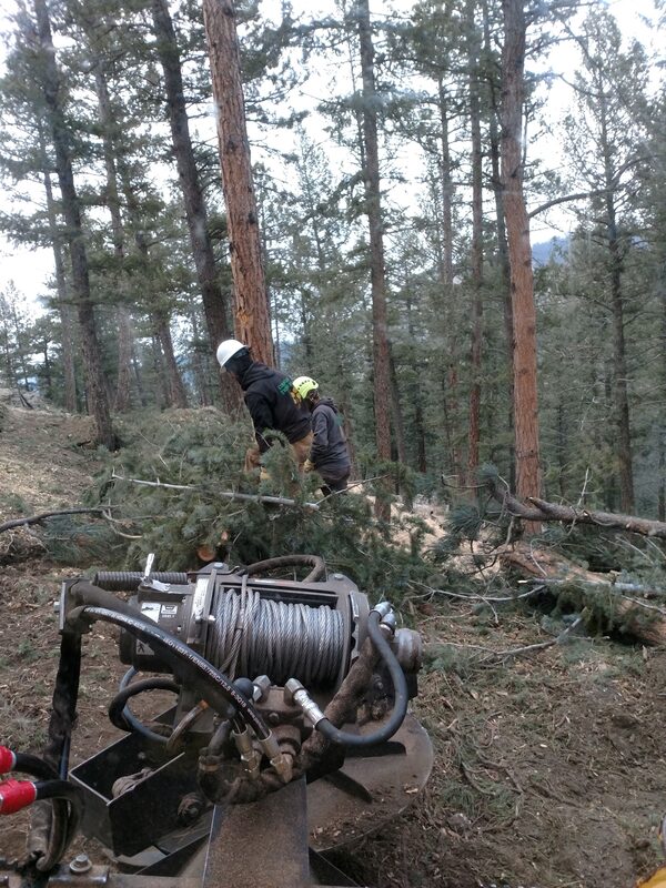 Tree thinning equipmen