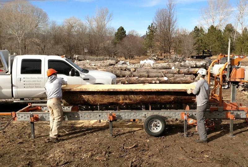 A mobile saw mill for processing hardwood felled from tree thinning and wildfire mitigation.