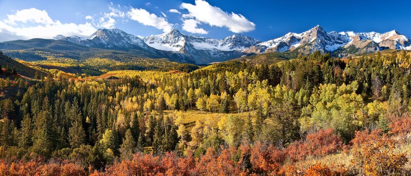 View of forested Aspen during the fall season